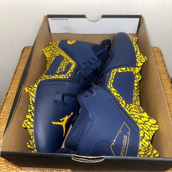 Nike Jordan Alpha Menace Pro 3 Promo Michigan Wolverines DH3368 403 Size 12 - Picture 13 of 14